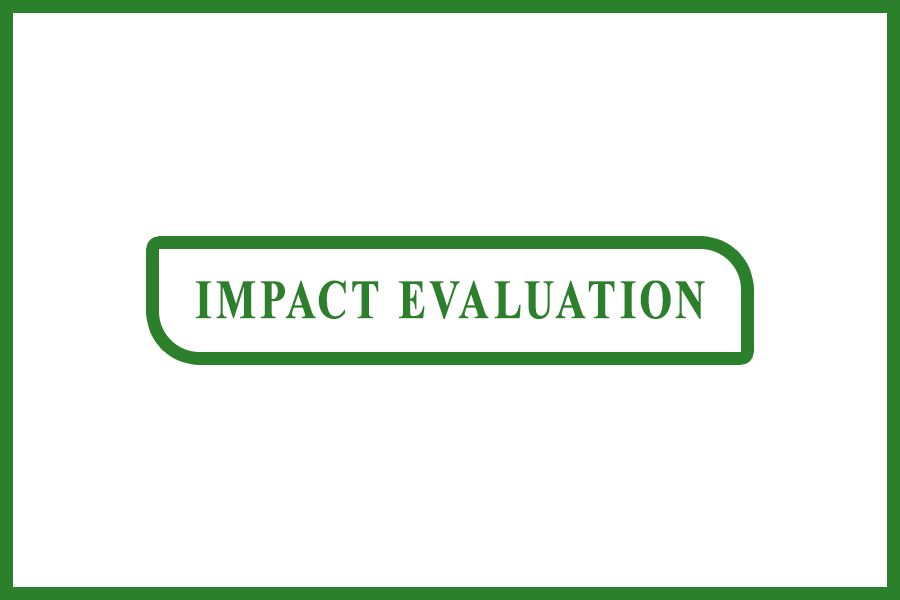 Impact Evaluation
